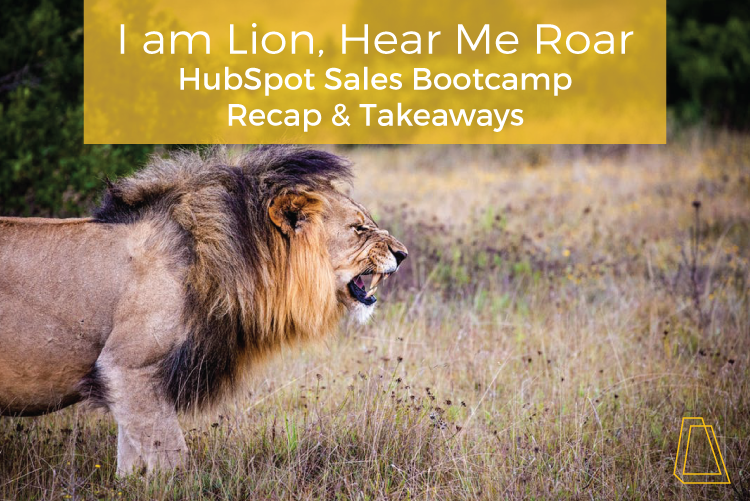 I AM LION, HEAR ME ROAR: HUBSPOT SALES BOOTCAMP RECAP & TAKEAWAYS