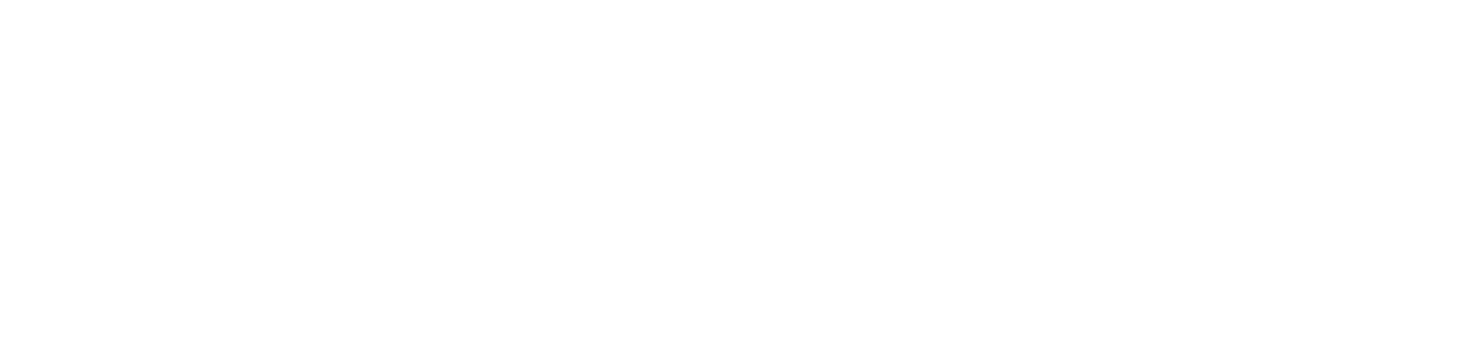 ACC_2024 Logo_White